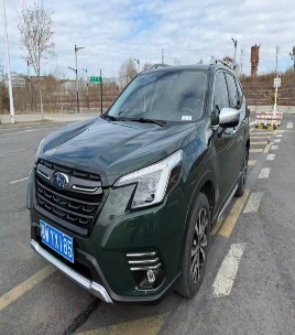 Subaru Forester null