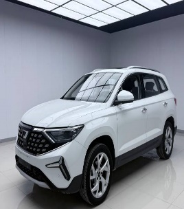 Volkswagen Jetta VS7 2022 280TSI Automatic YueXiang Edition