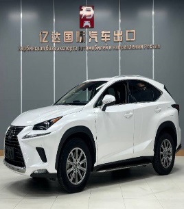 Lexus NX200 2020 null