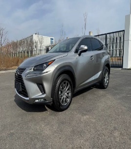 Lexus NX200  4WD Trendy Edition