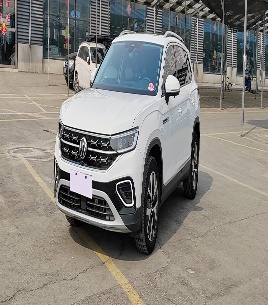 Volkswagen Tanyue Deluxe PLUS Advanced Edition