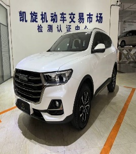 Haval H6  2021 Guochao Edition 1.5T Automatic Urban Edition