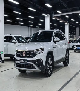 Volkswagen Tanyue Public Tanyue 23 280TSI null