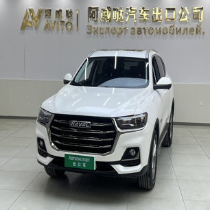 Haval H6 2021 Guochao Edition 1.5T Automatic Champion Edition
