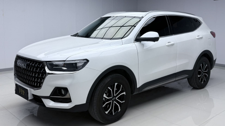 Haval H6 2023 Guochao Edition 1.5T Automatic Urban Edition