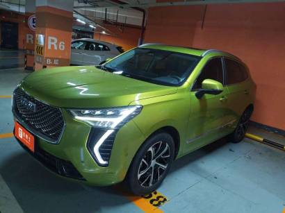 Haval First Love null 2021 1.5T Automatic Large Four-Seat Edition