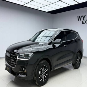 Haval H6 2023 Guochao Edition 1.5T Automatic Urban Edition