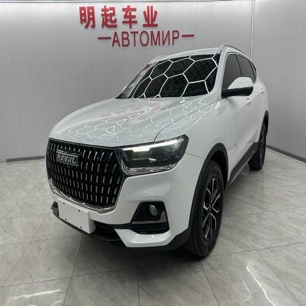 Haval H6 2023 Guochao Edition 1.5T Automatic Urban Edition