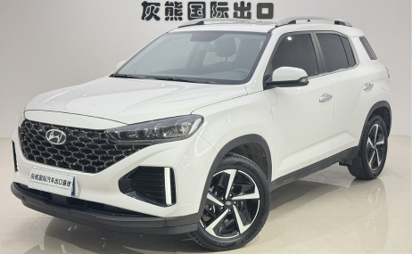 Hyundai ix35  2021 Two-wheel Drive GLS Leading Edition