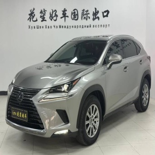 Lexus NX200 2020 200 AWD Trendy Edition China VI Emission Standard
