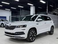 Skoda Karoq 2022  TSI280 Luxurious Enjoyment Edition