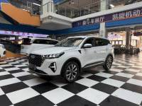 Chery Rui Hu 21 models are distinguished