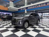 Chery Rui Hu 21 deluxe editions