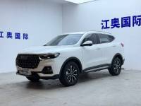 Haval H6 2023 Haval H6 Guochao Edition 1.5T Automatic Urban Edition