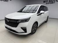 Wuling Jiachen 2022 1.5T CVT Enjoy the flagship model