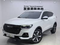 Haval H6 23 H6 National Tide Champion Edition