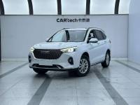 Haval H6 2021 M6 PLUS 1.5T Liu Yan joint edition Automatic transmission