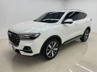 Haval H6 2023 Guochao 1.5T Automatic Champion Edition