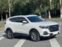 Haval H6 22 National Tide Champion Edition