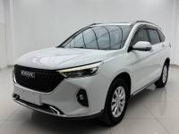 Haval M6 2021 Haval M6 PLUS 1.5T DCT Noble Zhilian Edition