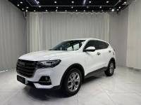 Haval H6  21 Guochao Edition 1.5T Automatic Champion Edition