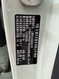 GWM Ora Good Cat 24 401km Honorable Model 135kW