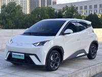 BYD Sea gull 24 Glory Edition 305KM The dynamic version