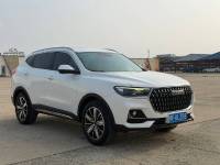Haval H6 23 Haval H6 National Tide Champion Edition