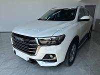 Haval H6 2021 Haval H6 Guochao Edition Automatic Champion Edition