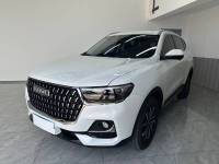 Haval H6 2023 Haval H6  Guochao Edition Automatic Urban Edition