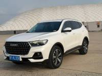 Haval H6  23 Haval H6 National Tide Champion Edition