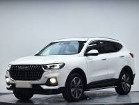 Haval H6 2023 Guochao Edition 1.5T Automatic Champion Edition