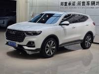 Haval H6 2023 National Tide Champion