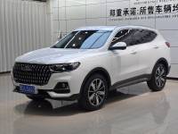 Haval H6 2023 National Tide Champion Edition