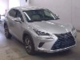 LEXUS NX 2019 — Лот #18069 | Восток Авто