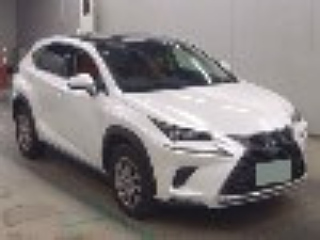 LEXUS NX 2020 — Лот #55199 | Восток Авто