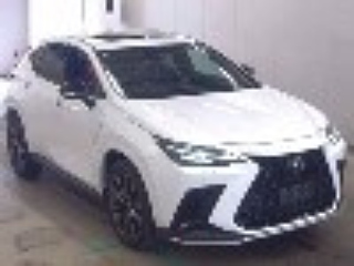 LEXUS NX 2023 — Лот #25047 | Восток Авто