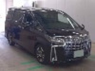 TOYOTA ALPHARD 2021