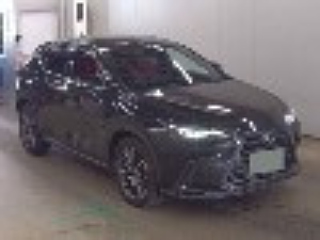 LEXUS NX 2023 — Лот #55125 | Восток Авто